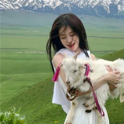 好莱坞队列